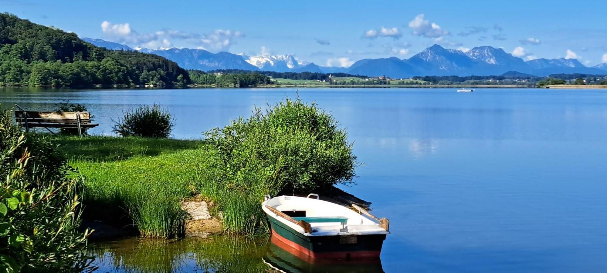 Ferienwohnung Wallersee نيوماركت ام والورسه المظهر الخارجي الصورة