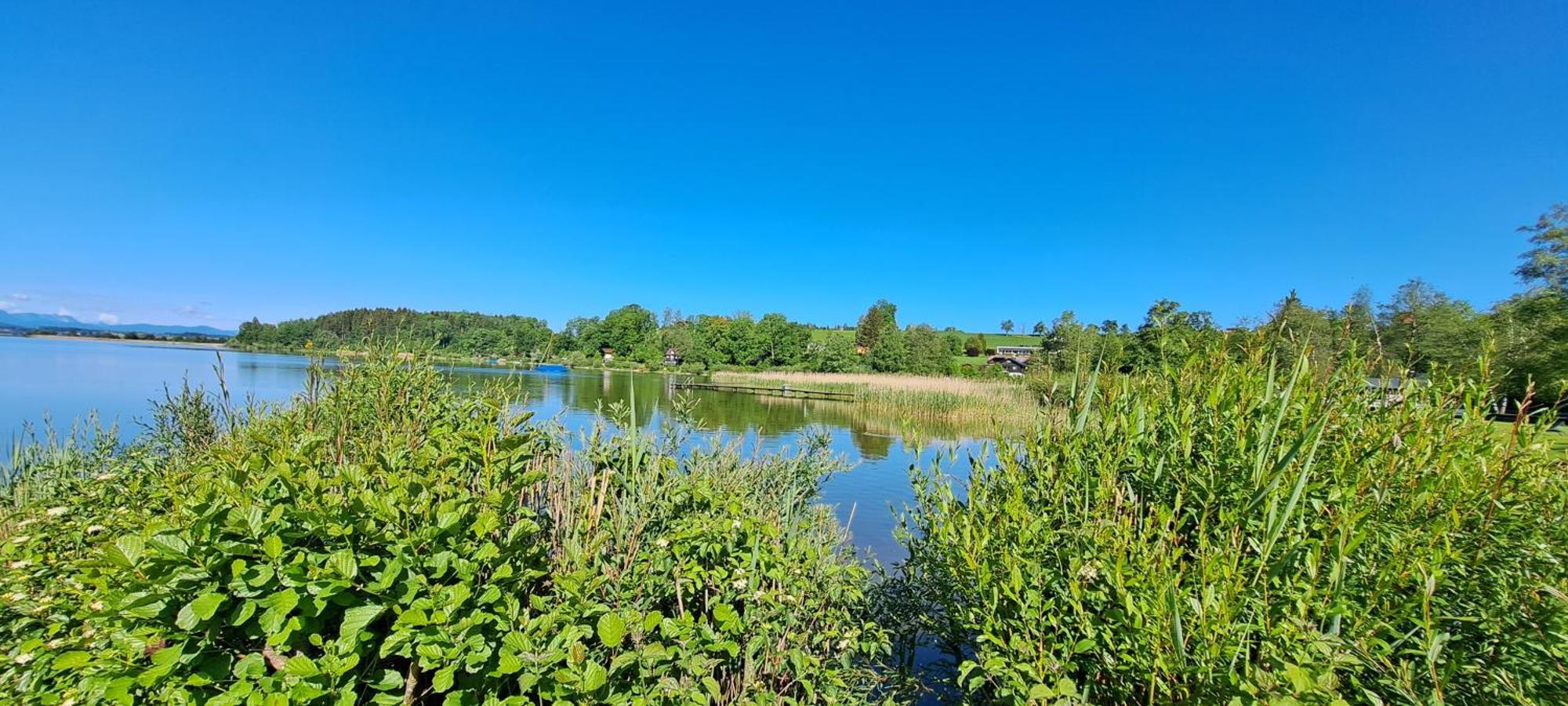 Ferienwohnung Wallersee نيوماركت ام والورسه المظهر الخارجي الصورة
